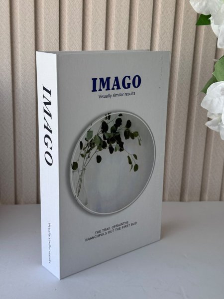 كتاب ديكور